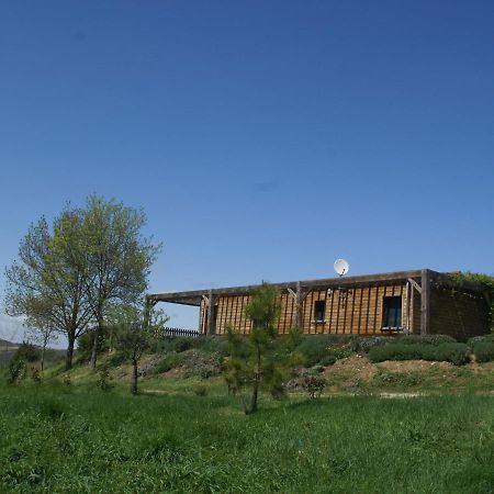 Villa Modern Chalet In Roquetaillade With Swimming Pool Extérieur photo